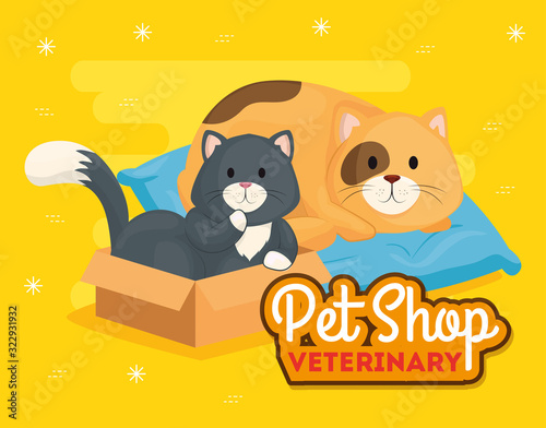 pet shop veterinary with cute cats vector illustration design