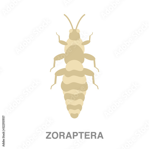 zoraptera flat icon on white transparent background. You can be used black ant icon for several purposes.  © Elvin