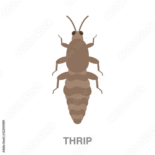 thrip flat icon on white transparent background. You can be used black ant icon for several purposes.	