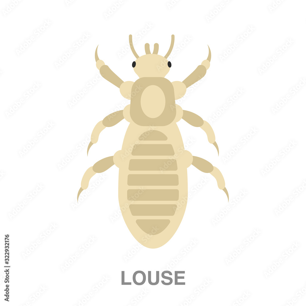 louse flat icon on white transparent background. You can be used black ant icon for several purposes. louse flat icon on white transparent background. You can be used black ant icon for several purposes.