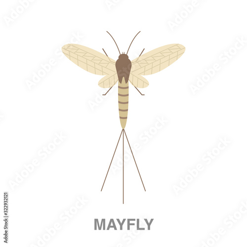 mayfly flat icon on white transparent background. You can be used black ant icon for several purposes.	