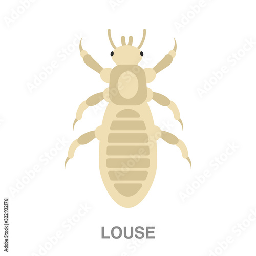 louse flat icon on white transparent background. You can be used black ant icon for several purposes.	