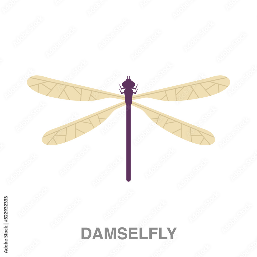 damselfly flat icon on white transparent background. You can be used black ant icon for several purposes. damselfly flat icon on white transparent background. You can be used black ant icon for several purposes.