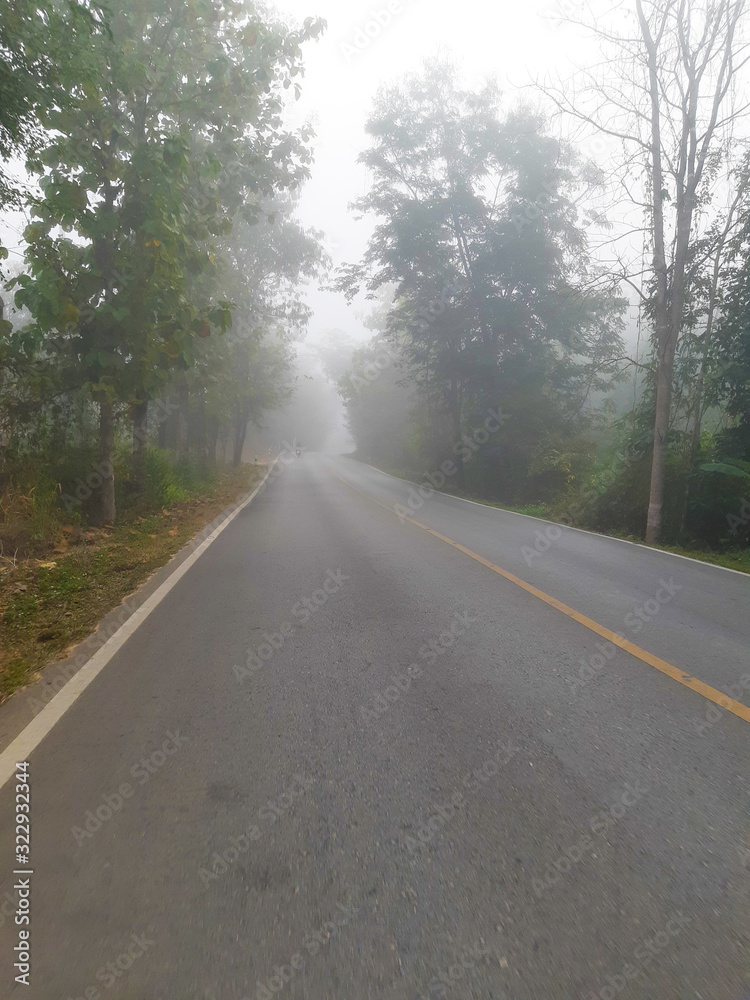 The path on a foggy day