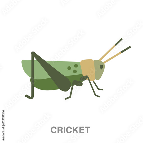 cricket flat icon on white transparent background. You can be used black ant icon for several purposes. 