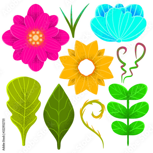 Fototapeta Naklejka Na Ścianę i Meble -  Set of flower buds and leaves. Illustration with bright plants for creating backgrounds, logos, floral arrangements.