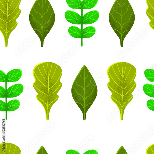 Organic pattern of green leaves of plants. Ecological illustration for the decor of packaging products  packages  backgrounds  banners and posters.