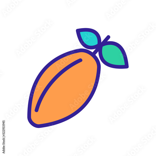 chocolate beans icon vector. Thin line sign. Isolated contour symbol illustration