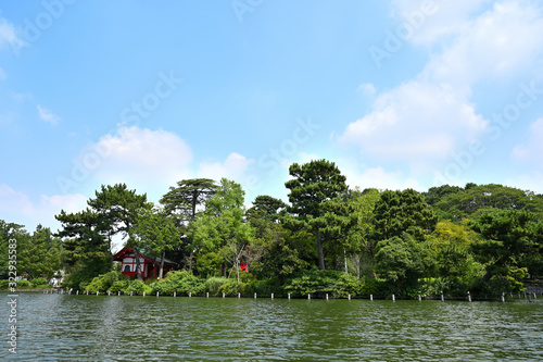 真夏の洗足池　東京都大田区