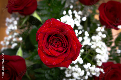Top view of single red rose in a bouquet