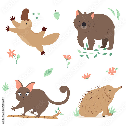 Set of Australian animals platypus, wombat echidna
