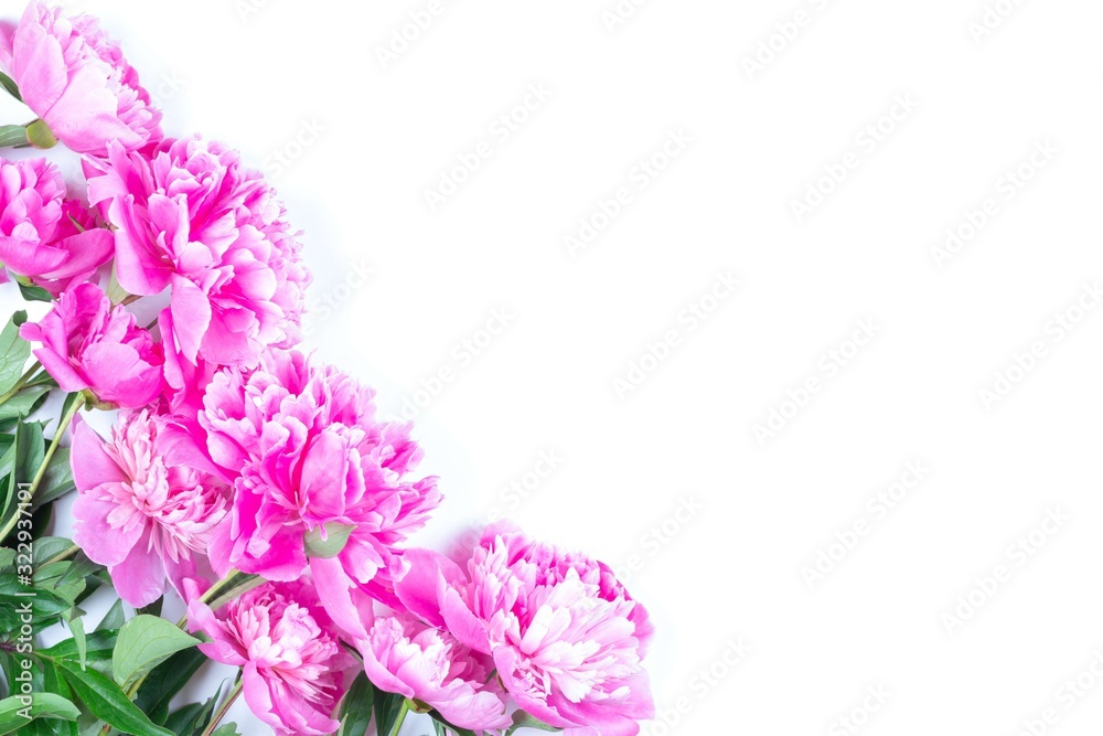 a bouquet of pink peony flowers isolated on a white background with a copy space