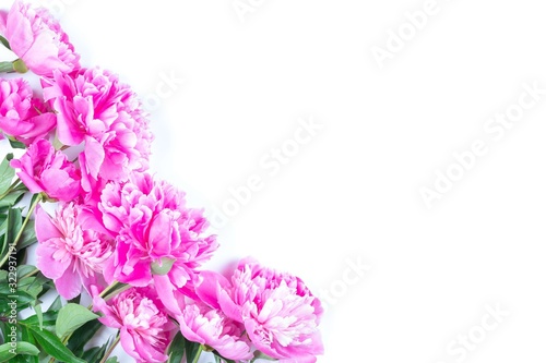 a bouquet of pink peony flowers isolated on a white background with a copy space © Andrey Solovev