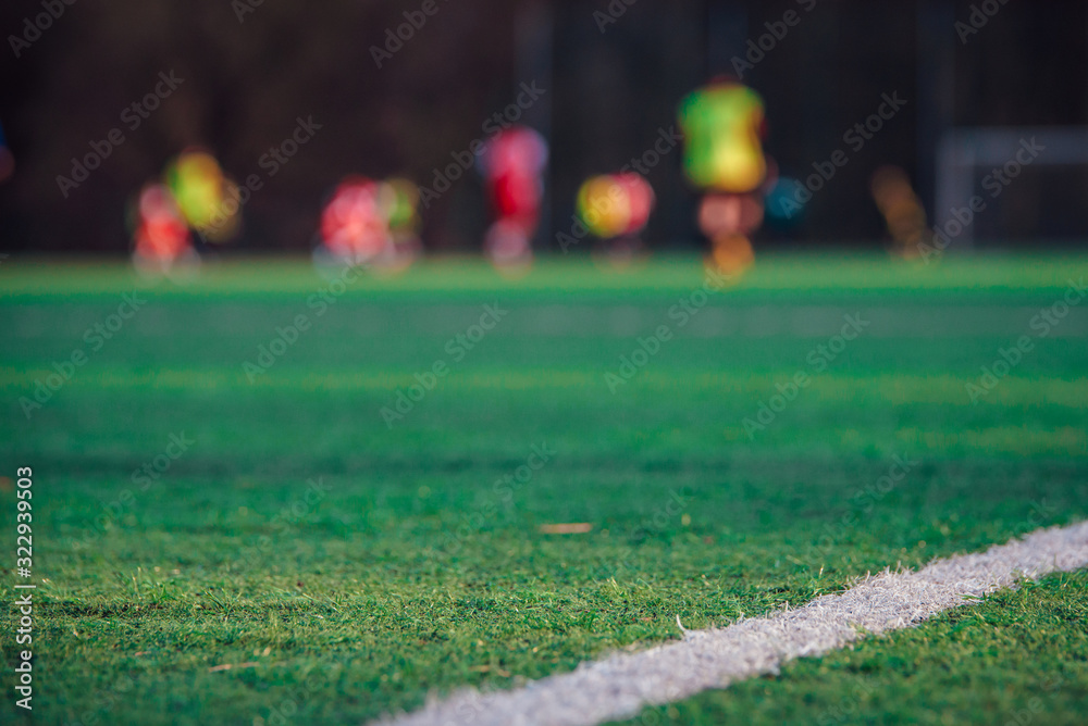 Football pitch, players on green grass, blurred background Stock Photo |  Adobe Stock