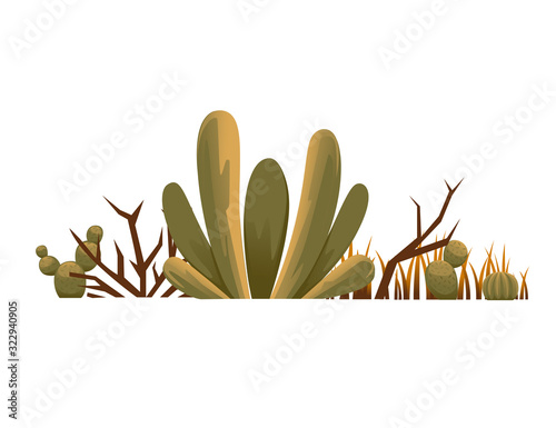Group of desert plants cactus thorns and weeds flat vector illustration on white background