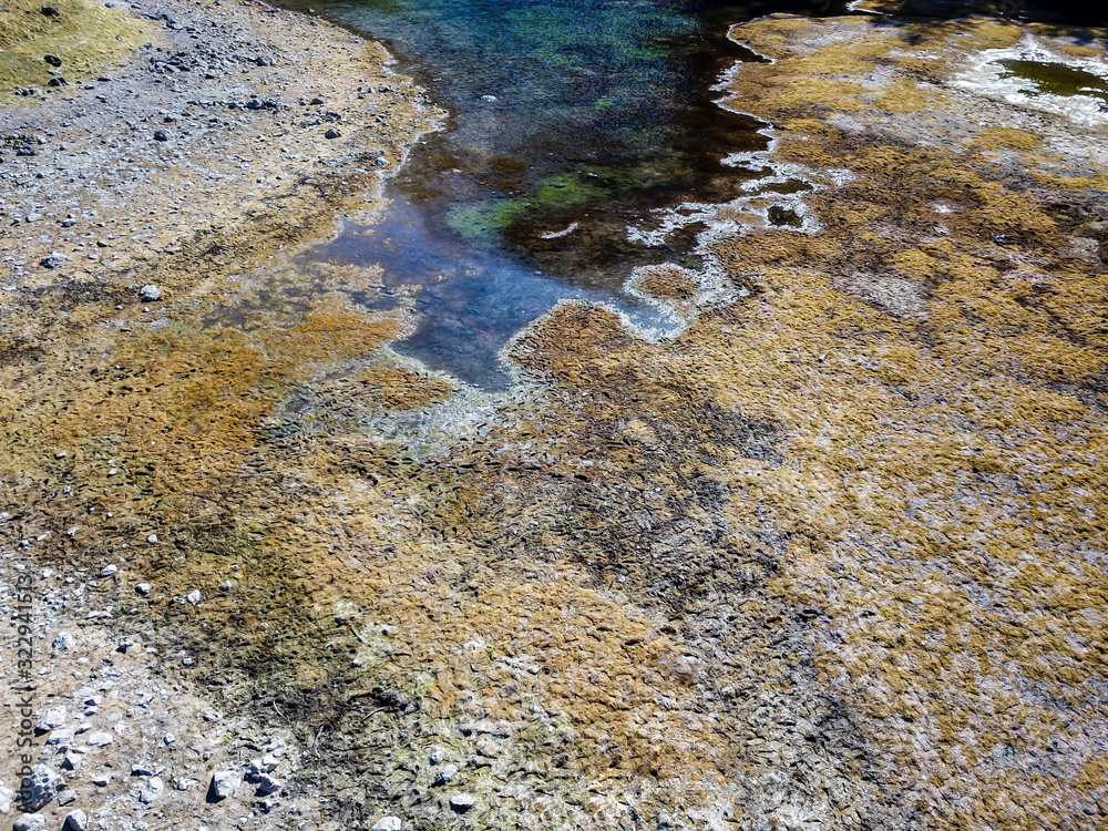 A drone shot of a drying out lake in an Alpine valley in Austria. Green Lake is drying out in autumn. There is a dense forest along the lake's line. The lake has blackish color. Circle of nature A drone shot of a drying out lake in an Alpine valley in Austria. Green Lake is drying out in autumn. There is a dense forest along the lake's line. The lake has blackish color. Circle of nature