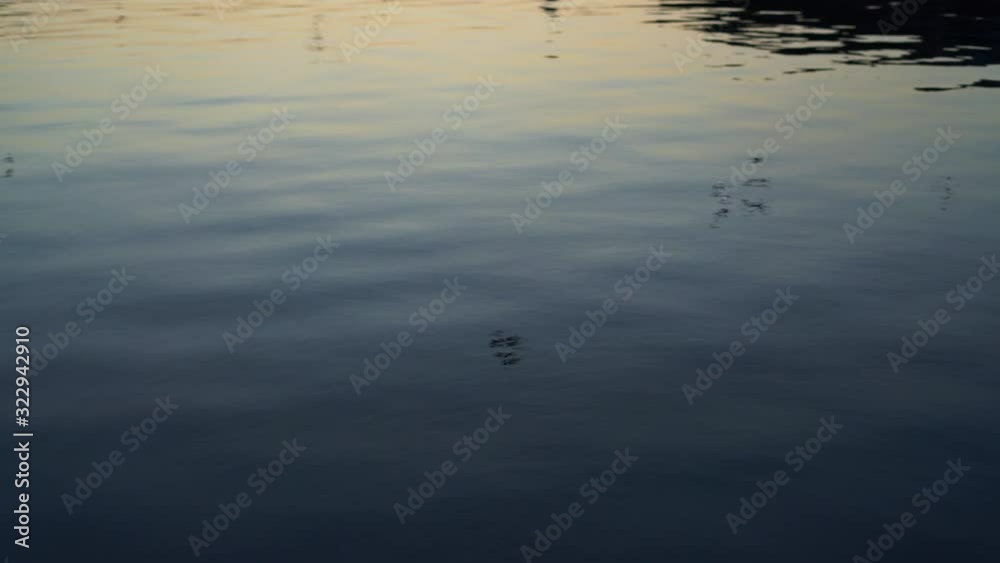 Water surface reflection of birds and seagulls flying during sunset.
Muscat, Oman Water surface reflection of birds and seagulls flying during sunset.
Muscat, Oman