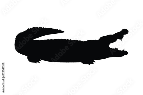 Man in crocodile show silhouette vector