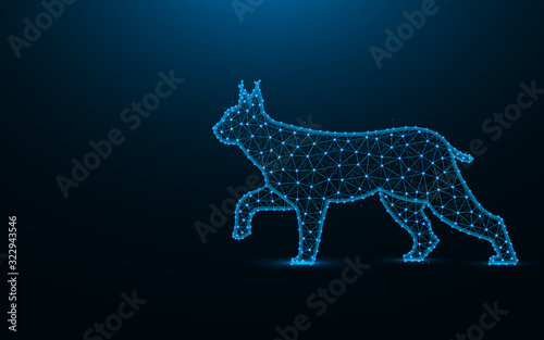 Lynx low poly design, wild cat wireframe mesh polygonal vector illustration made from points and lines on dark blue background
