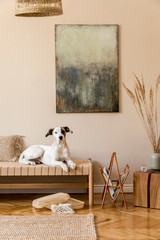 Modern composition of living room with furnitures, mock up paintings, rattan decoration, wooden cube nad elegant personal accessories. Beautiful dog lying on the chaise longue. Home decor Template