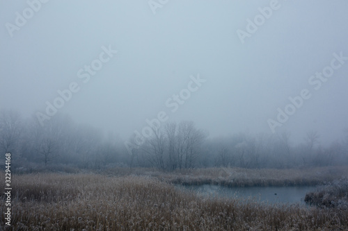 cold misty and foggy landscape, river and forest