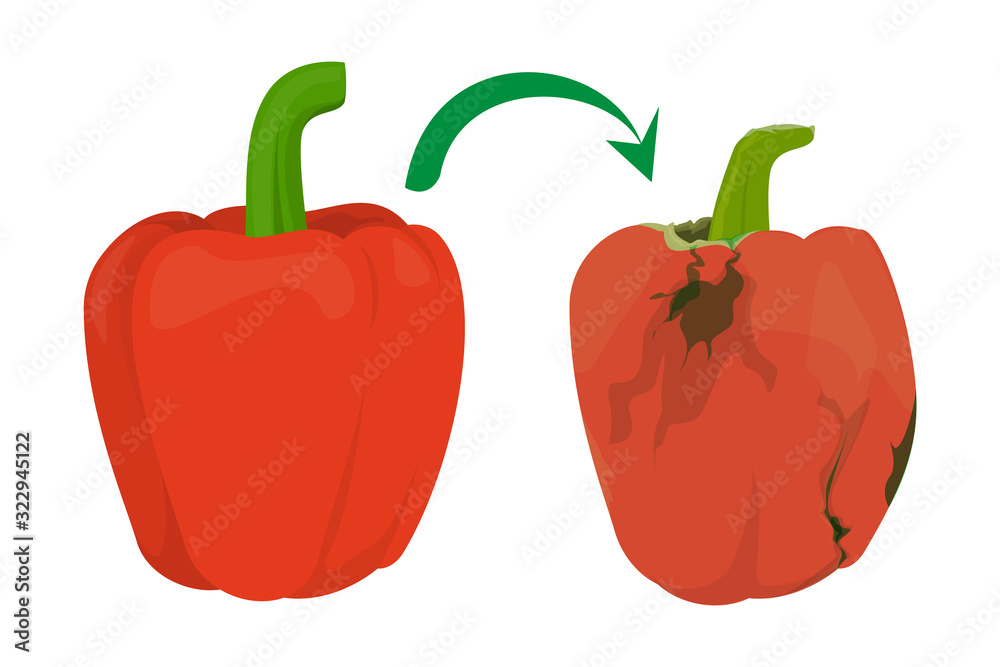 Red shiny bell pepper become rotten vector isolated. Red shiny bell pepper become rotten vector isolated.