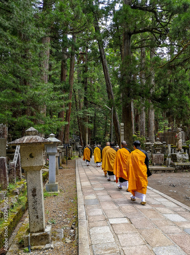 Monks walking on the 2 km long path with ancient tombs in the Okunoin cemetery towards the mausoleum of Kobo Daishi in the Unesco site Koyasan, Japan photo