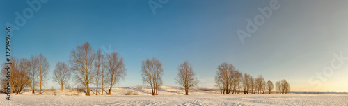 Winter beautiful landscape with trees covered with hoarfrost