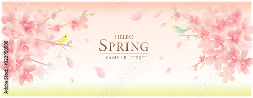 春の花　桜　ベクターイラスト　　Elegant Spring Flowers Vector Background　