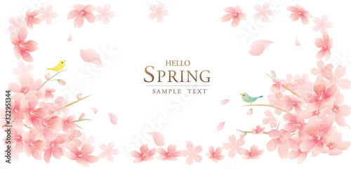 春の花　桜のベクターイラスト　spring flowers　vector illustration　background