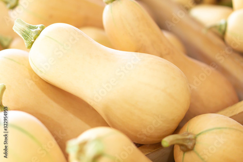 Obraz na plátne Closeup butternut squash on the wooden