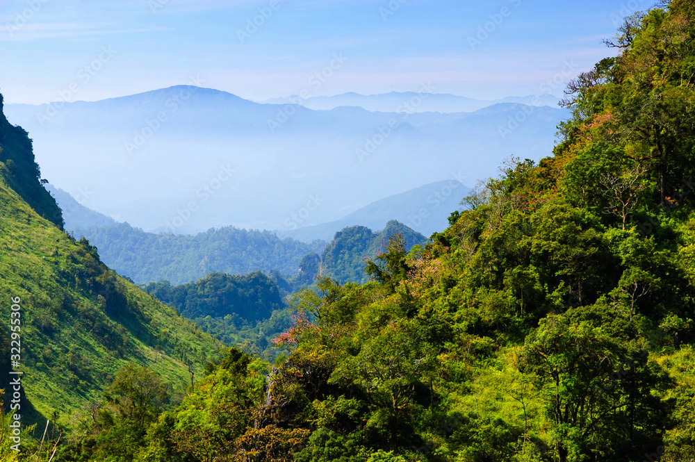 Obraz premium Trees Against Sky in mountain at Doi Luang Chiang Dao Chiang Mai , Thailand 