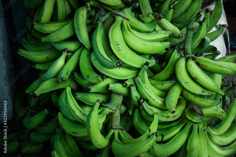 full frame close up shot of fresh green plantains, hand picked. Typical caribbean and dominican republic produce. full frame close up shot of fresh green plantains, hand picked. Typical caribbean and dominican republic produce.
