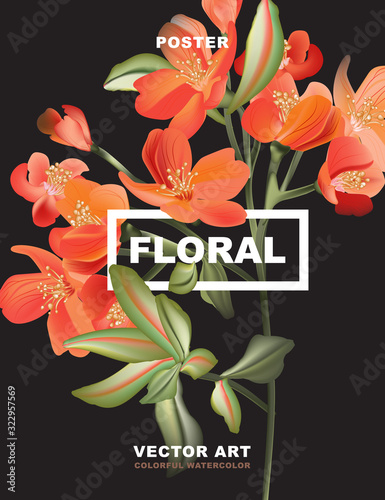 Macro astromelia flower poster, holiday greeting card, 8 March design. Orange red Flower small lily plant isolated on black. Delicate florist design realistic vector