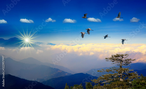 Foggy morning in the mountains with flying birds over silhouettes of hills