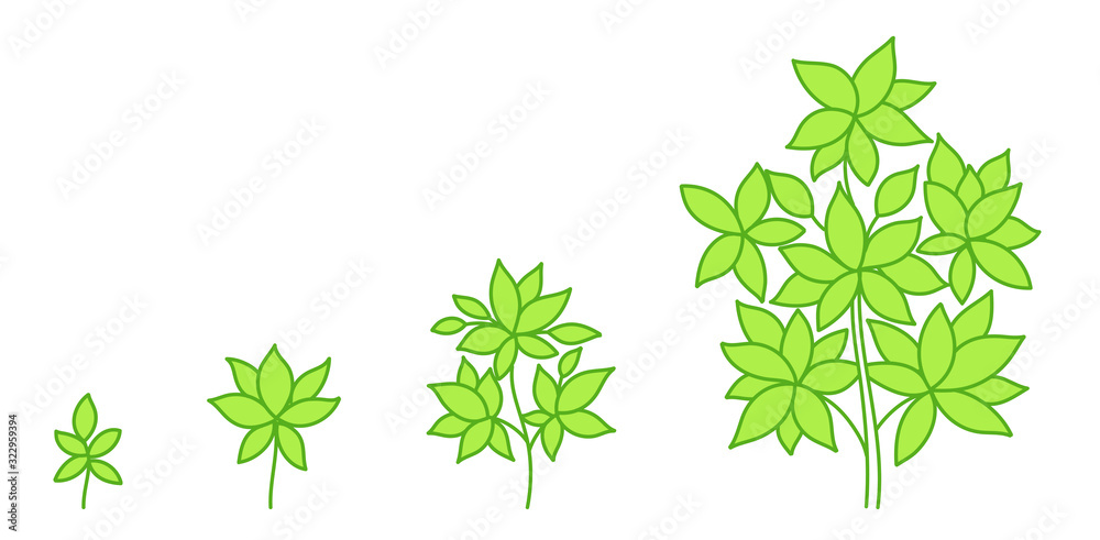 Tree growth stages. Development stage. Animation progression. Green colour. Vector eco infographic.