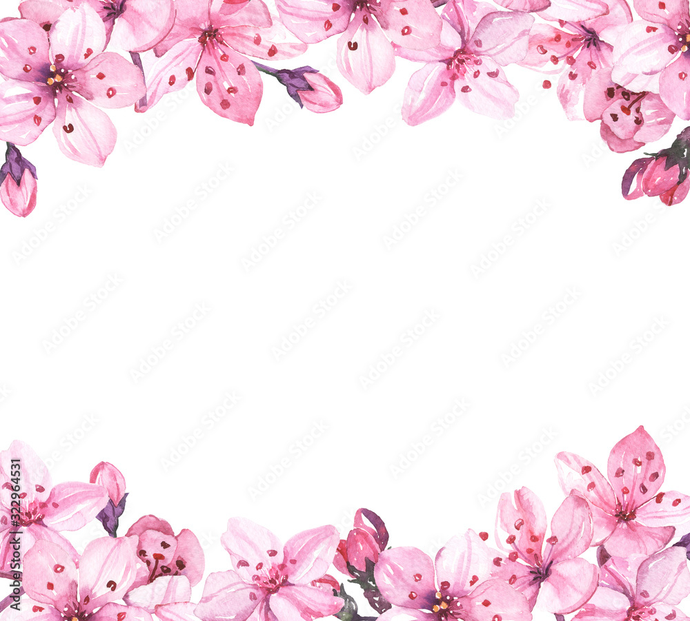 Watercolor hand painted sakura cherry blossom flowers illustration frame border isolated on white background