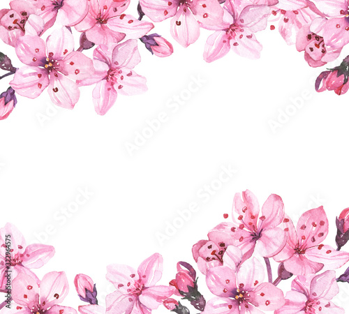 Watercolor hand painted sakura cherry blossom flowers illustration isolated on white background