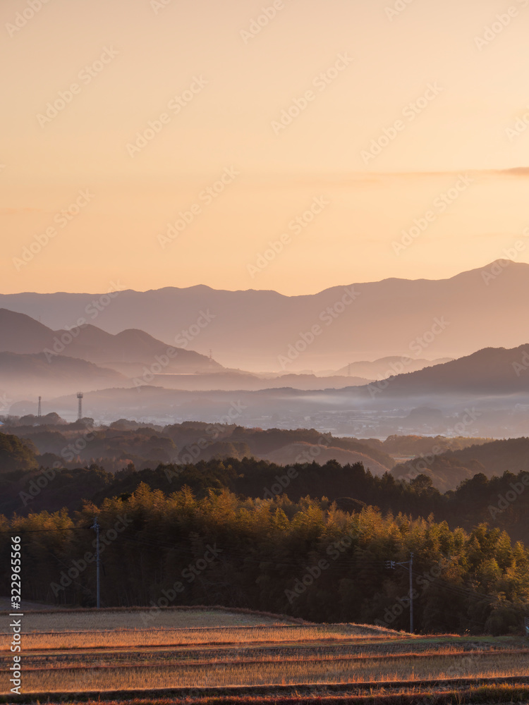 Obraz premium 朝靄