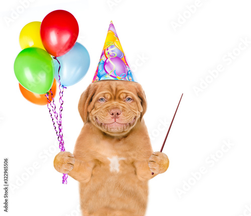 Smiling puppy wearing a party`s hat holds balloons and points away on empty space. isolated on white background © Ermolaev Alexandr