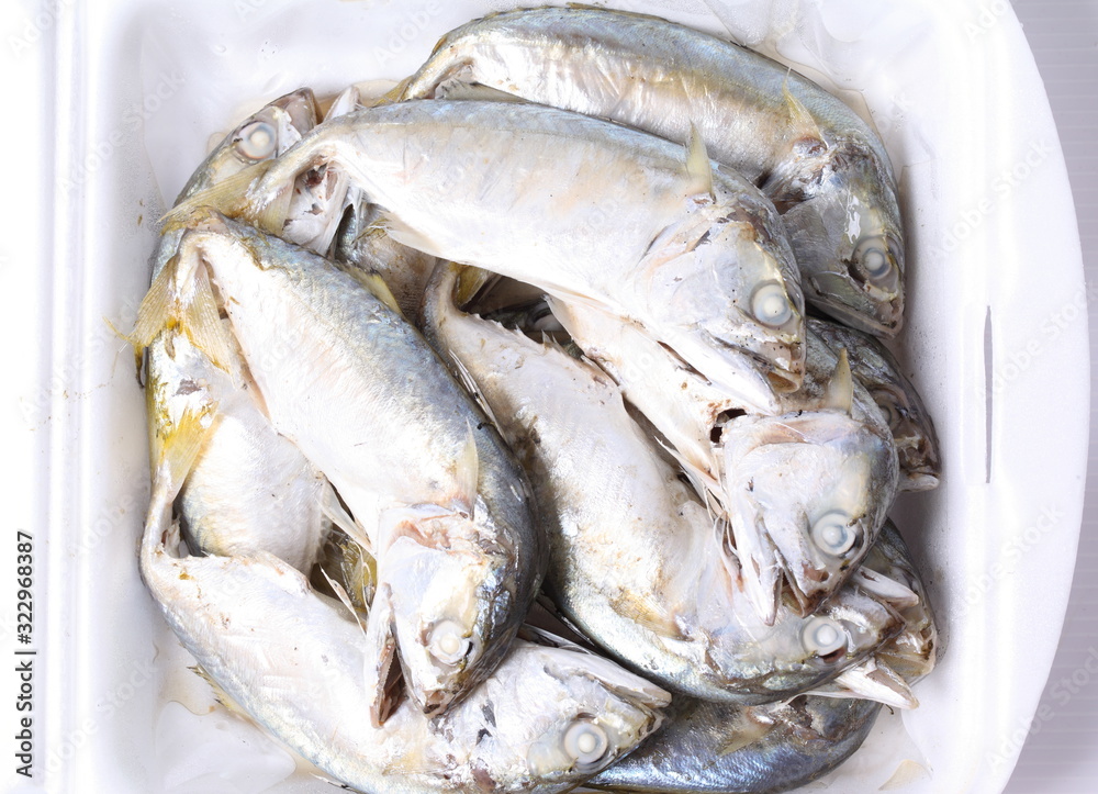 Fresh mackerel isolated on white background Fresh mackerel isolated on white background