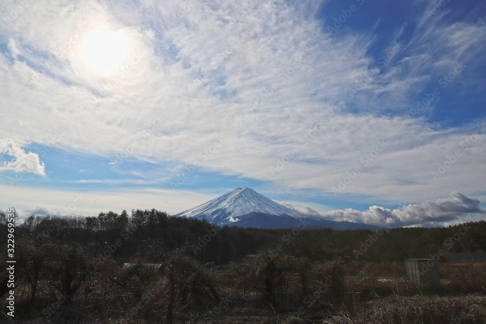 Fototapeta premium 【世界遺産】雪化粧の富士山