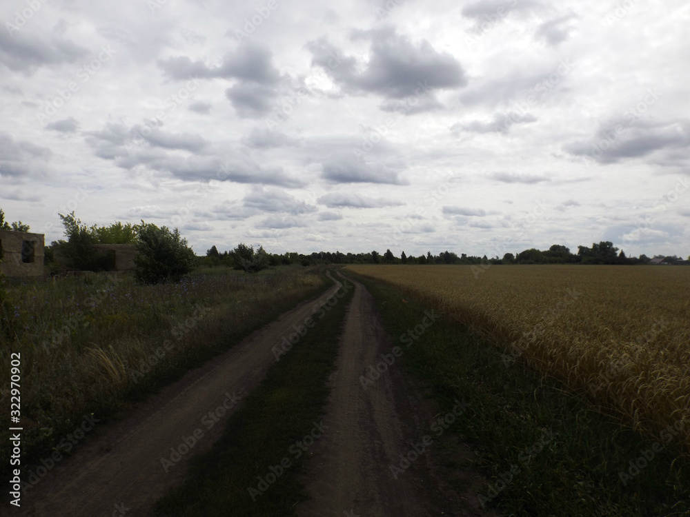 Road in the field Road in the field