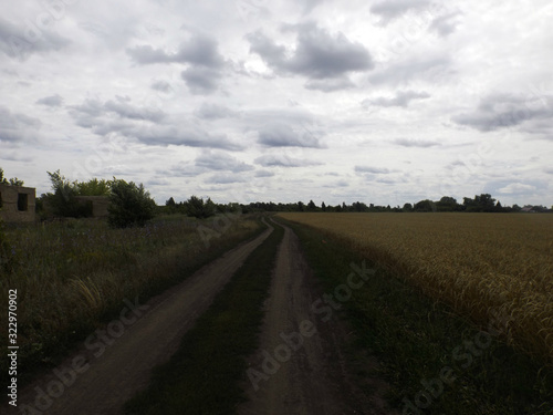 Road in the field