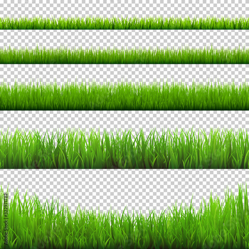 Grass borders collection. Green meadow nature background. Easter card design element. Vector illustration.