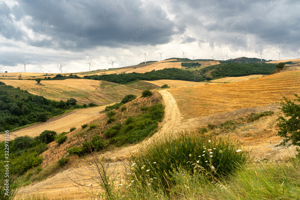 Rural landscape in Apulia at summer near Candela