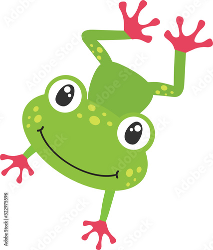 Red Toed Frog
