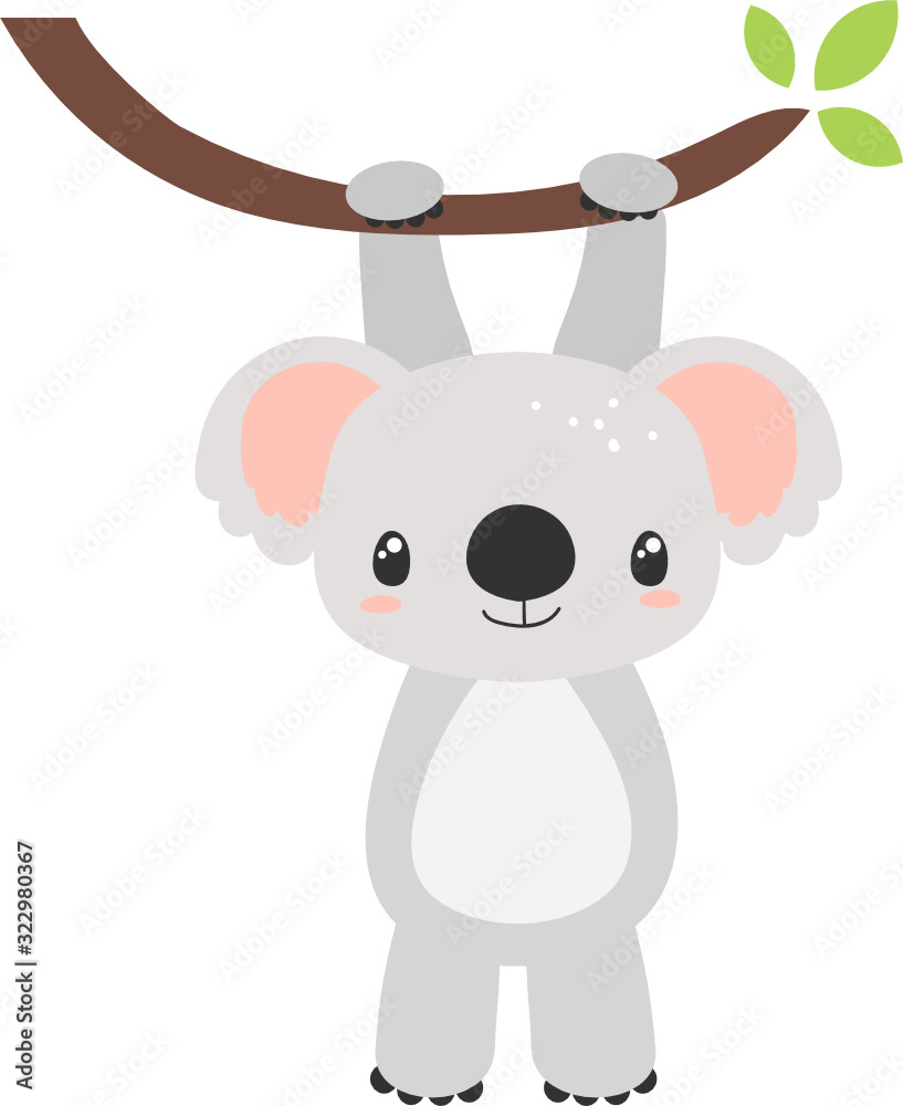Koala Hanging on a branch Koala Hanging on a branch