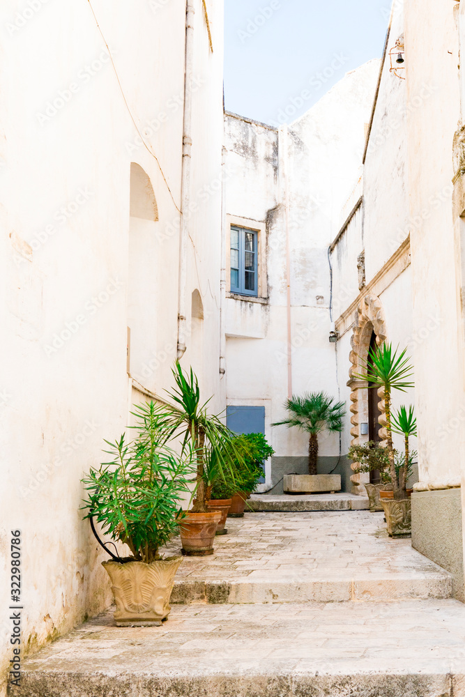 Small street with stairs, white houses and green plants in Martina Franca, Italy