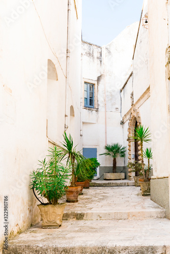 Fototapeta Naklejka Na Ścianę i Meble -  Small street with stairs, white houses and green plants in Martina Franca, Italy